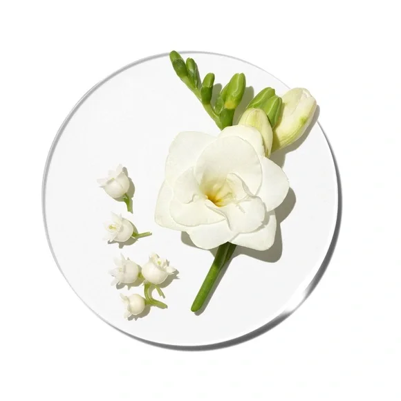 NEW Clinique Happy In Bloom P Spray Full Medium Size 1.7oz - Picture 2 of 3